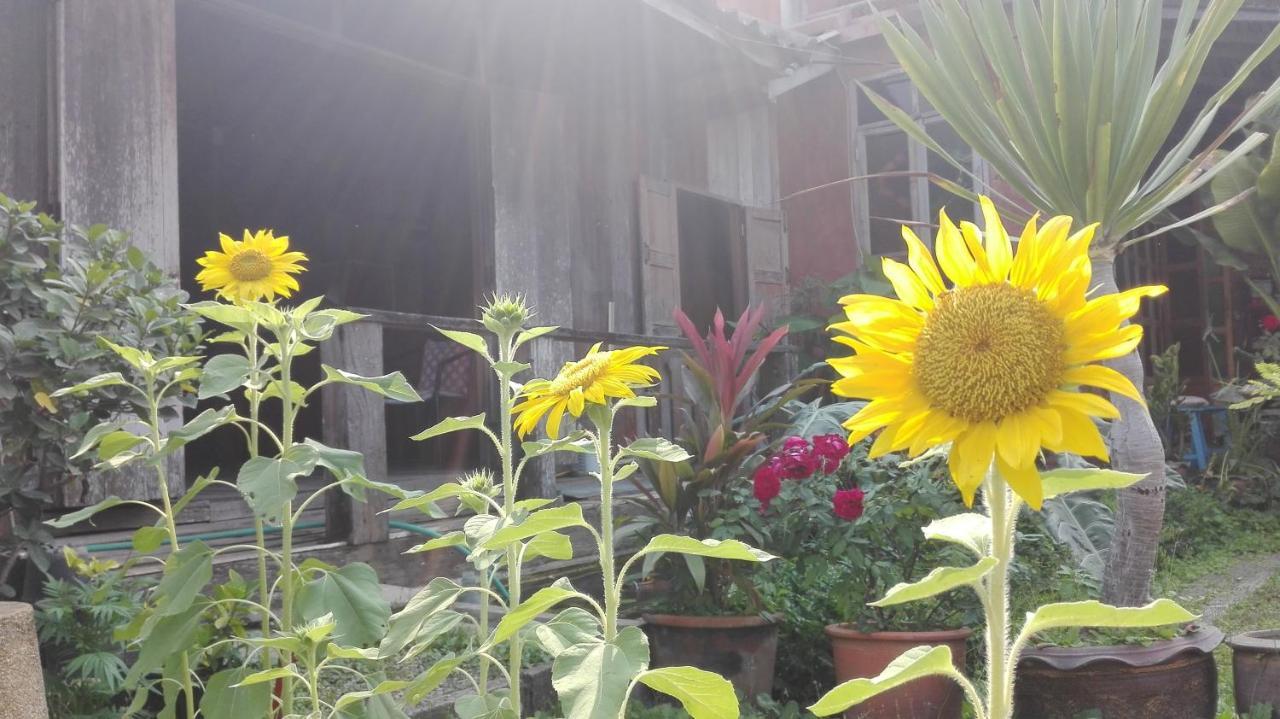 Maeloegyi Maesariang Hotel Mae Sariang Exterior photo